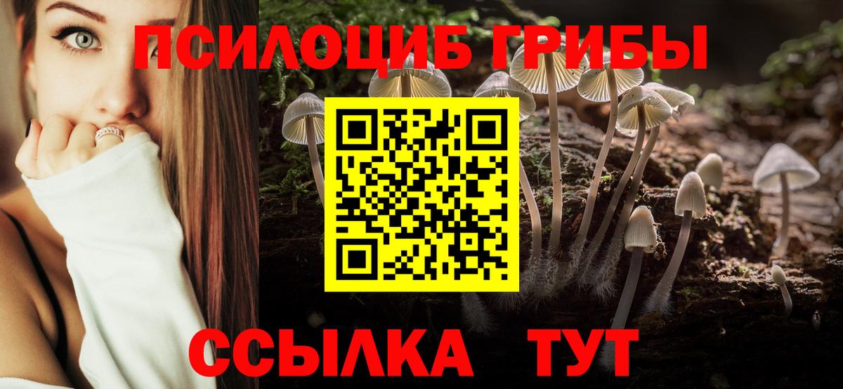 Псилоцибиновые грибы мухоморы  Псилоцибиновые грибы мицелий  Новодвинск  цена   Вход с VPN 